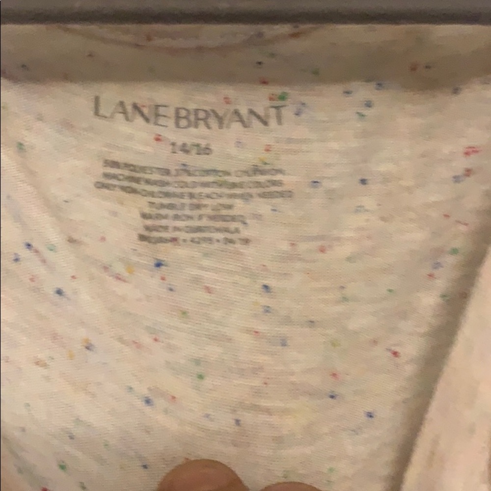 Lane Bryant - Picture 2 of 4